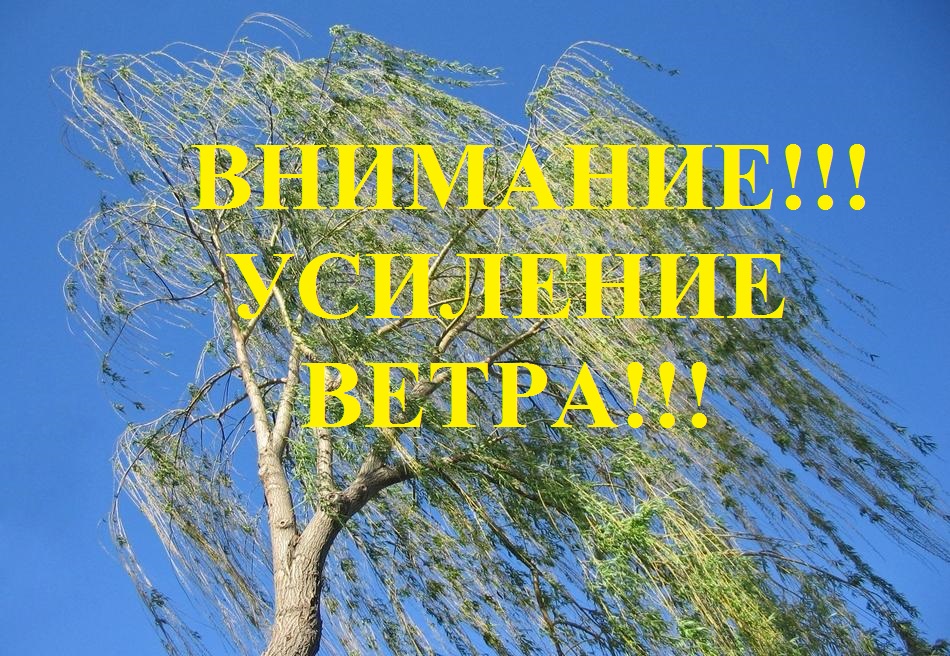 ОПЕРАТИВНЫЙ ЕЖЕДНЕВНЫЙ ПРОГНОЗ НА 21.05.2025.