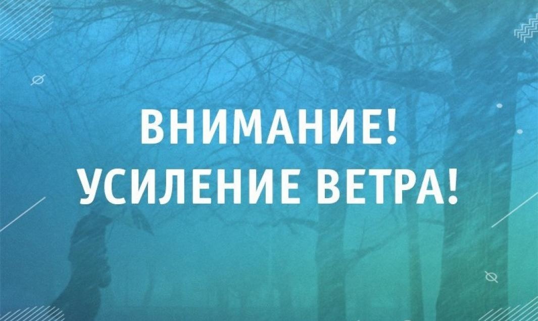 ОПЕРАТИВНЫЙ ЕЖЕДНЕВНЫЙ ПРОГНОЗ НА 29.04.2025.