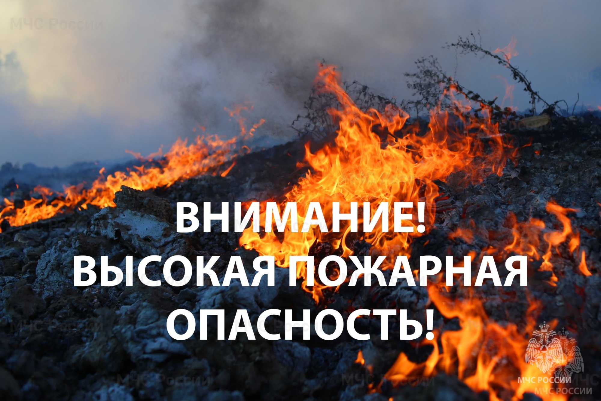 НЕБЛАГОПРИЯТНОЕ ЯВЛЕНИЕ!.