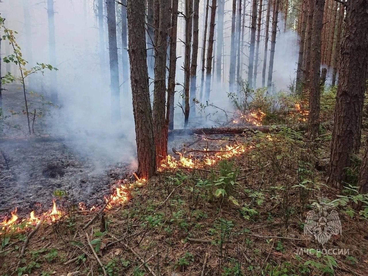 НЕБЛАГОПРИЯТНОЕ ЯВЛЕНИЕ!.