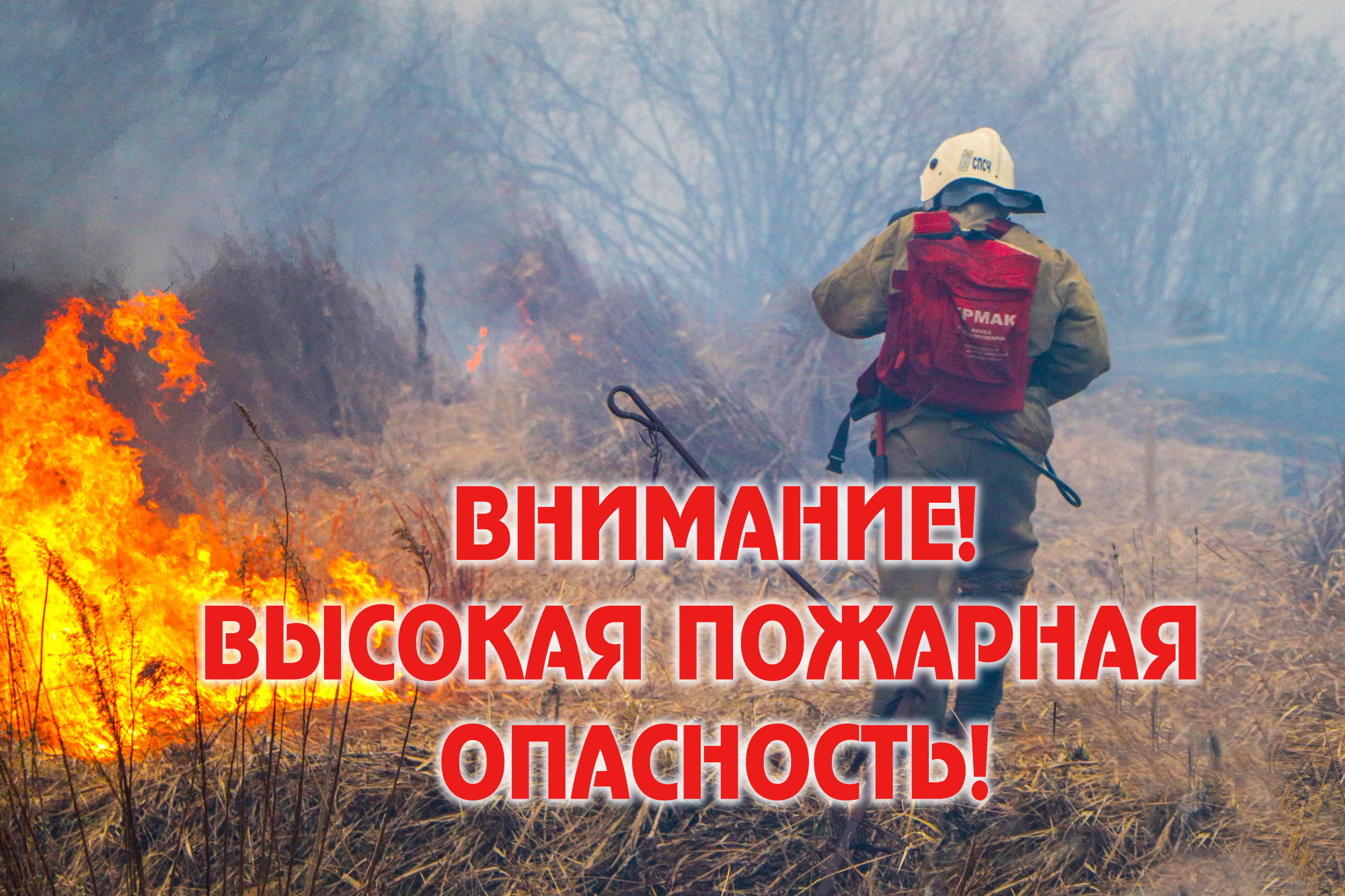 ОПЕРАТИВНЫЙ ЕЖЕДНЕВНЫЙ ПРОГНОЗ НА 31.05.2025.